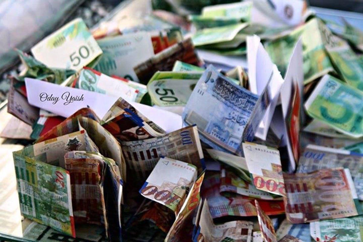 Shekels israelenses [foto de arquivo]