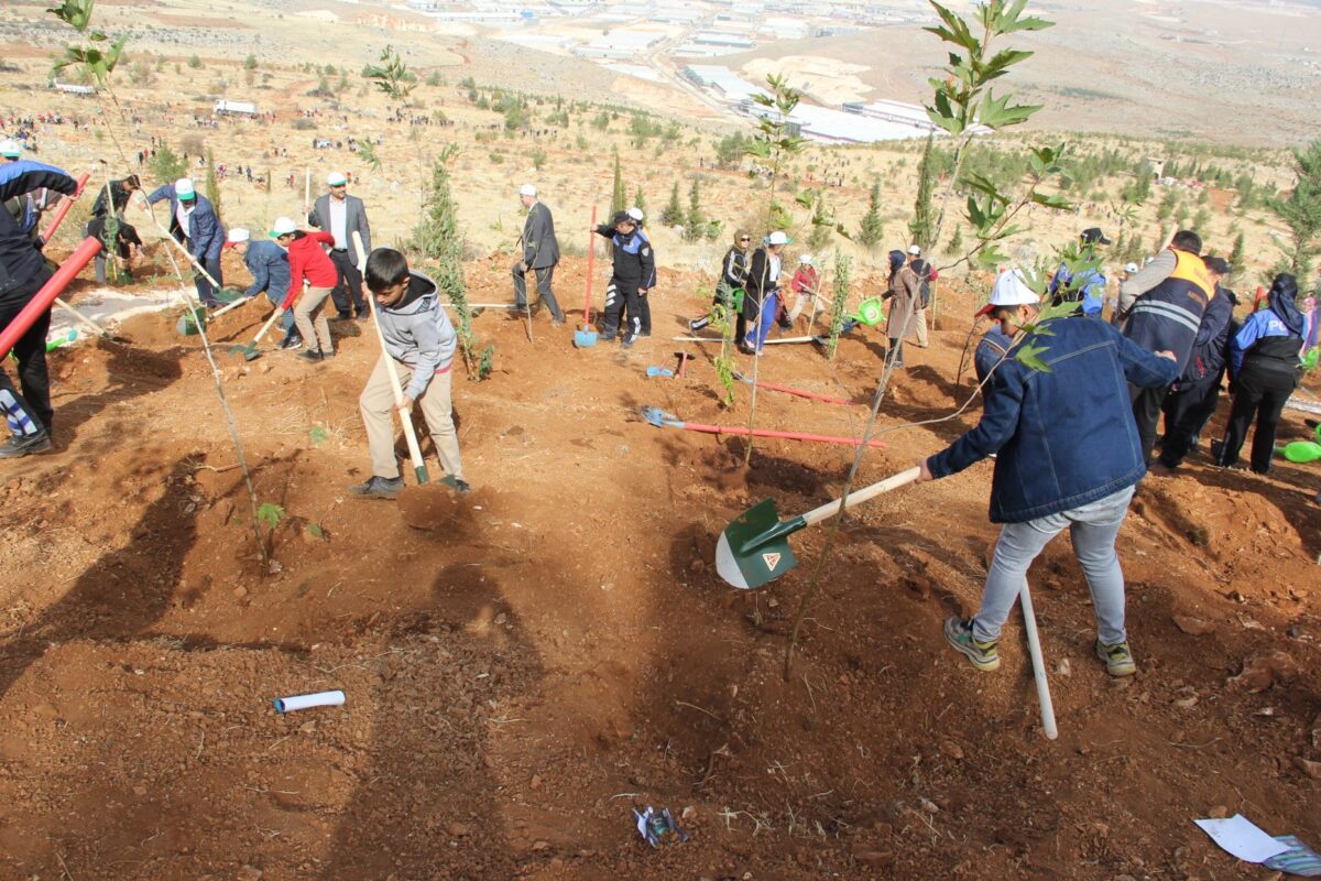 Voluntários trabalham em campanha de massa de florestamento, com mais de 13 milhões de mudas plantadas simultaneamente por toda a Turquia, sob coordenação do Ministério da Agricultura e Meio Ambiente da Turquia, em Gaziantep, Turquia, 11 de novembro de 2019 [Yeter Erdine/Agência Anadolu]