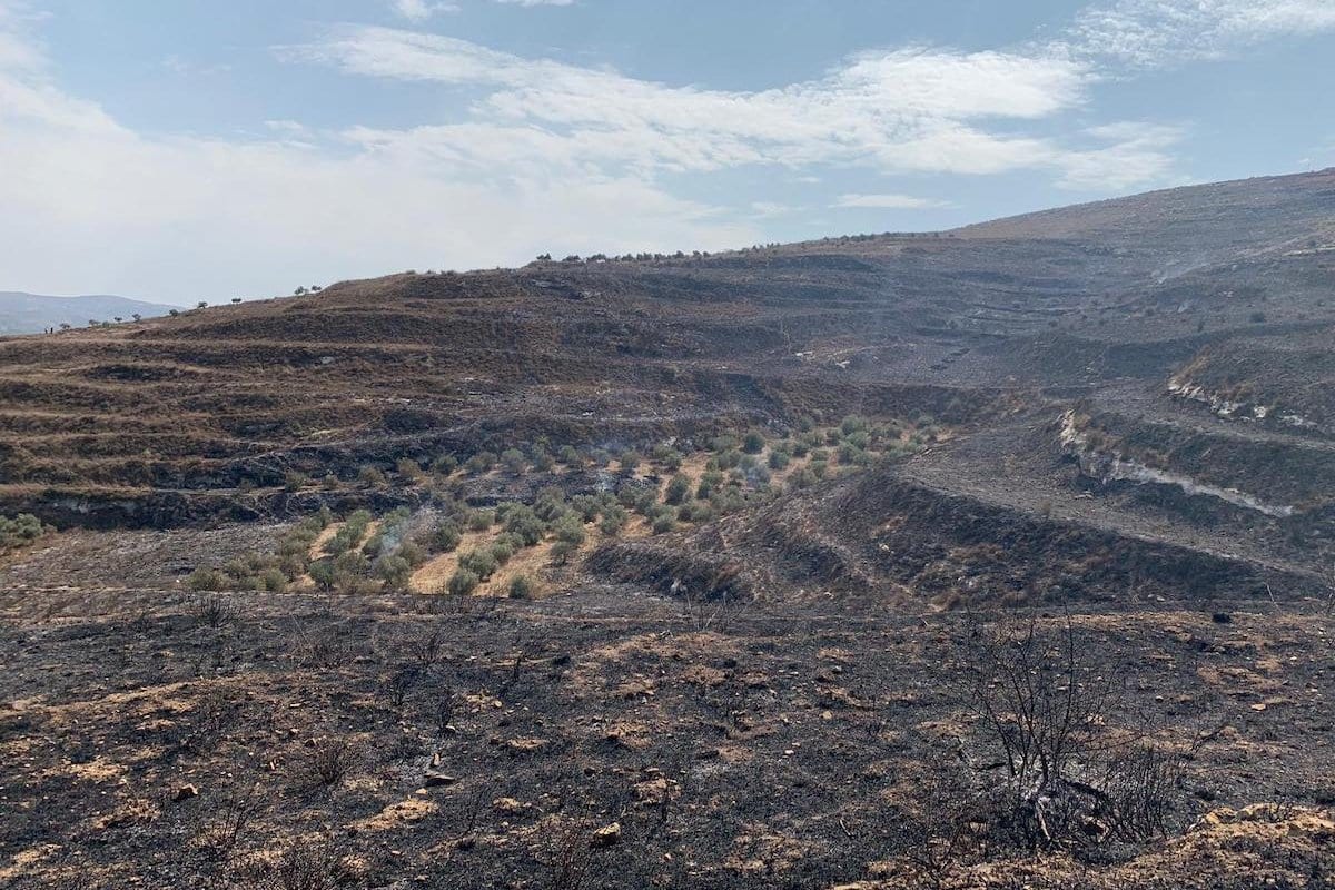 Colonos israelenses atacam campos de oliveiras palestinas na aldeia de Burin, em Nablus, norte da Cisjordânia ocupada, outubro de 2019 [foto de arquivo]
