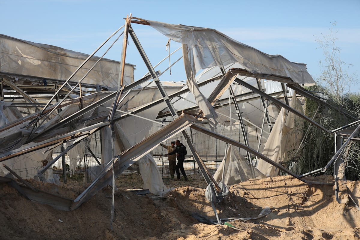 Estufas e campos agrários palestinos destruídos por ataques aéreos israelenses, em Gaza, 22 de novembro de 2020 [Mustafa Hassona/Agência Anadolu]