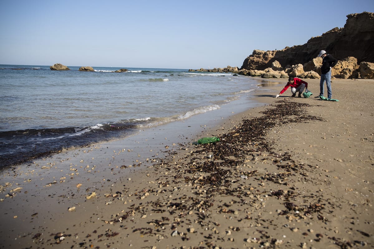 Homens recolhem alcatrão da areia como parte do esforço de limpeza da praia depois que o material cobriu a costa de Israel em 22 de fevereiro de 2021 em Hadera, Israel. [Amir Levy ]