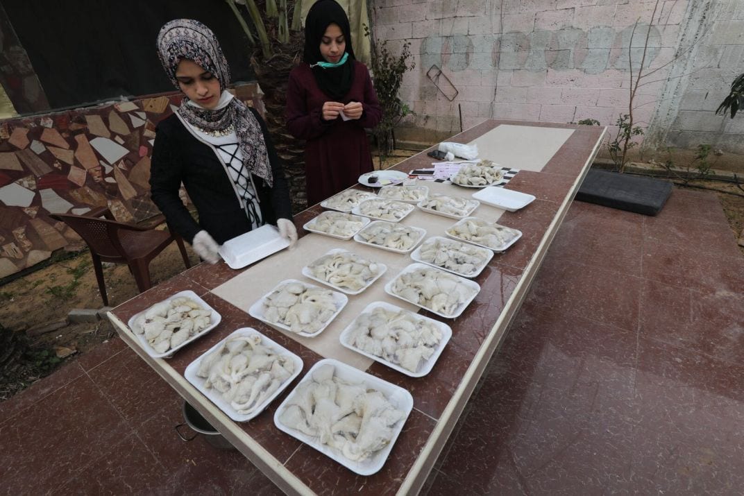 Mulher palestina comercializa cogumelos para superar desemprego [Mohammed Asad/Monitor do Oriente Médio]