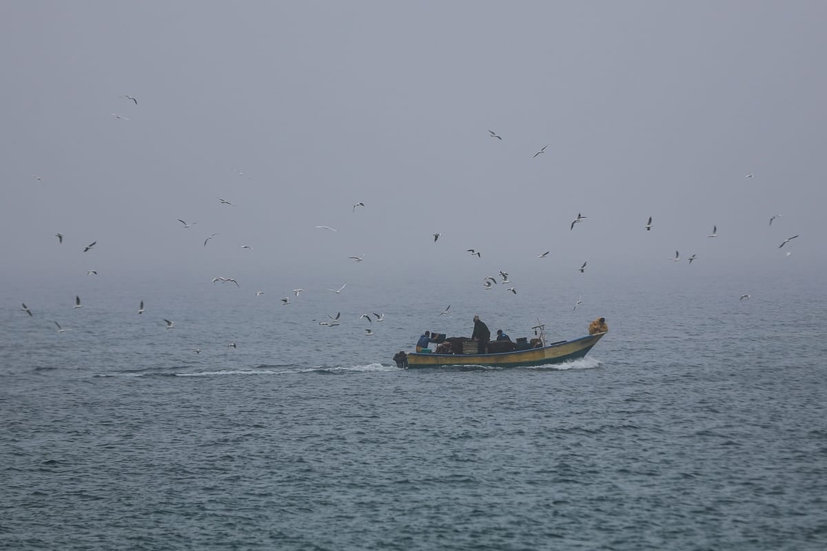 Pescadores de Gaza navegam para o mar no Porto de Gaza, em 5 de janeiro de 2021 [Ali Jadallah/Agência Anadolu]
