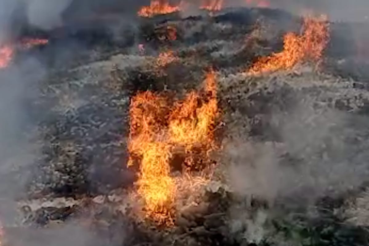 A fábrica da Coca-Cola em Gaza foi destruída por Israel