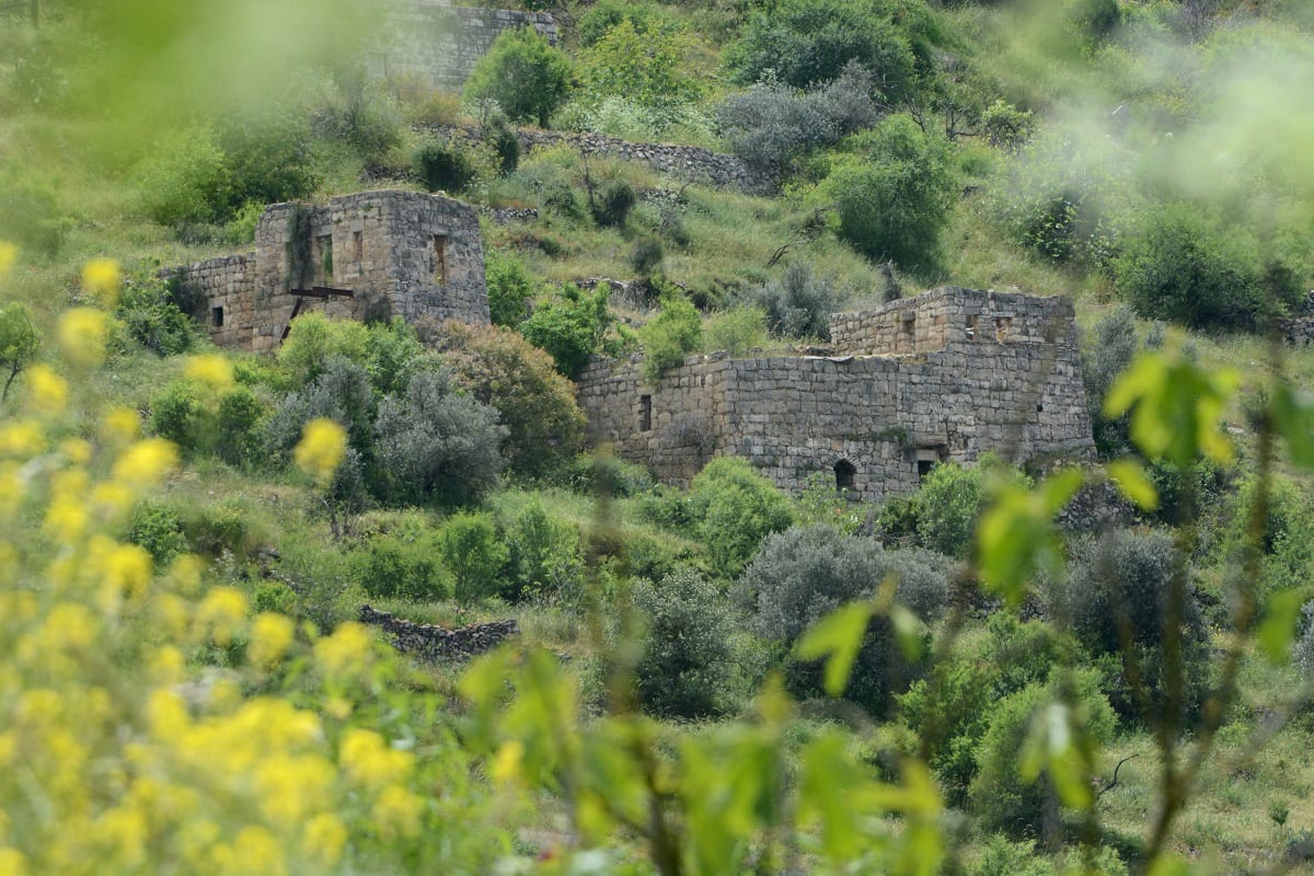 Faixada das casas de Lifta [Foto Lina Bakr]