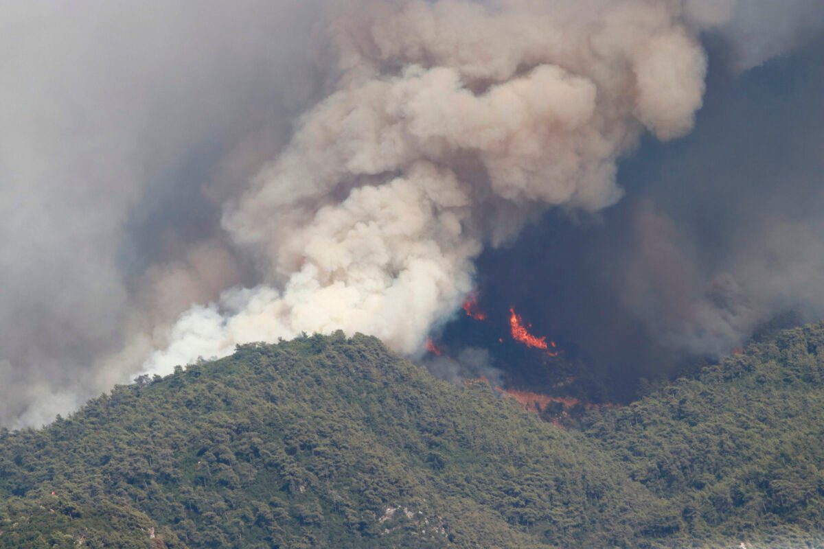 Noventa e oito dos 107 incêndios florestais em curso na Turquia estão sob controle, afirmou neste sábado (31) o Ministério do Meio Ambiente e Agricultura.
