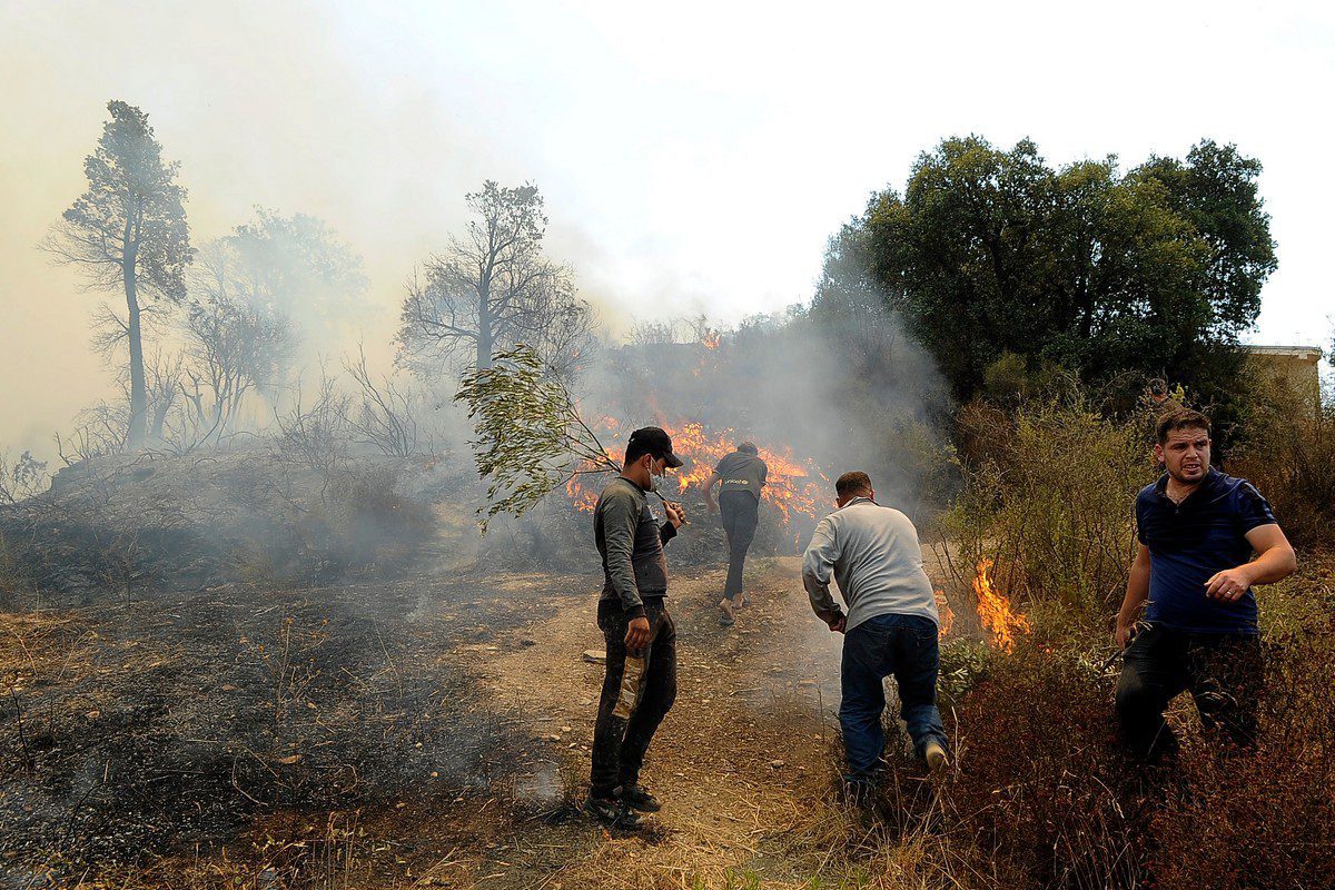 Fumaça e fogo sobem do incêndio na Argélia, em 12 de agosto de 2021 [Mousaab Rouibi/Agência Anadolu]
