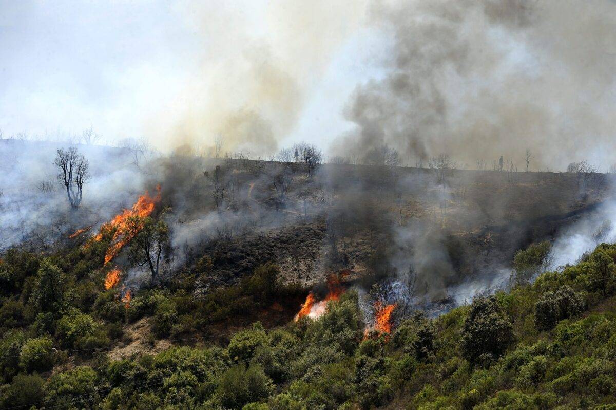 Incêndio florestal na cidade de Beni Douala na província de Tizi Ouzou no norte da Argélia, em 11 de agosto de 2021. [Mousaab Rouibi/Agência Anadolu]
