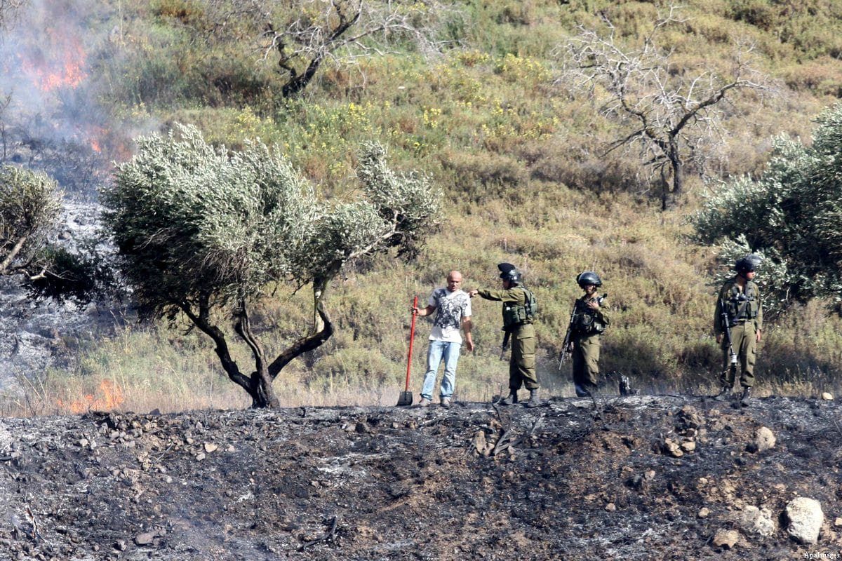 Homem palestino conversa com soldados da ocupação israelense enquanto tenta apagar um incêndio criminoso em um bosque de oliveiras na aldeia de Burin, perto de Nablus, Cisjordânia ocupada, 3 de junho de 2013 [Nedal Eshtayah]

