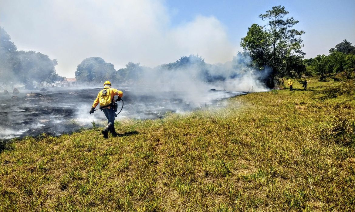 Incêndios florestais nas Unidades de Conservação caem pela metade [Divulgação Instituto Ambiental]
