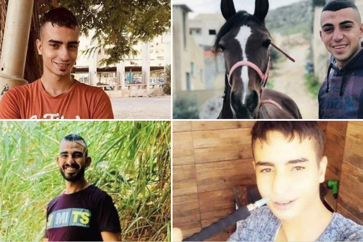 Raed Abu Seif, Amjad Hussainiya, Nour Jarrar e Saleh Ammar, mortos a tiros por forças da ocupação israelense [@QudsNen/Twitter]
