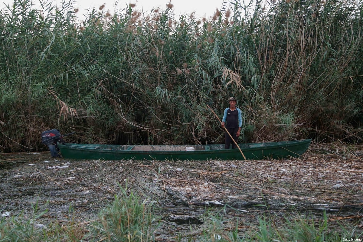 Um pescador iraquiano atravessa peixes e plantas mortos no pântano Delmaj, no Iraque, em 25 de agosto de 2020 [Hayder Indhar/AFP/Getty Images]
