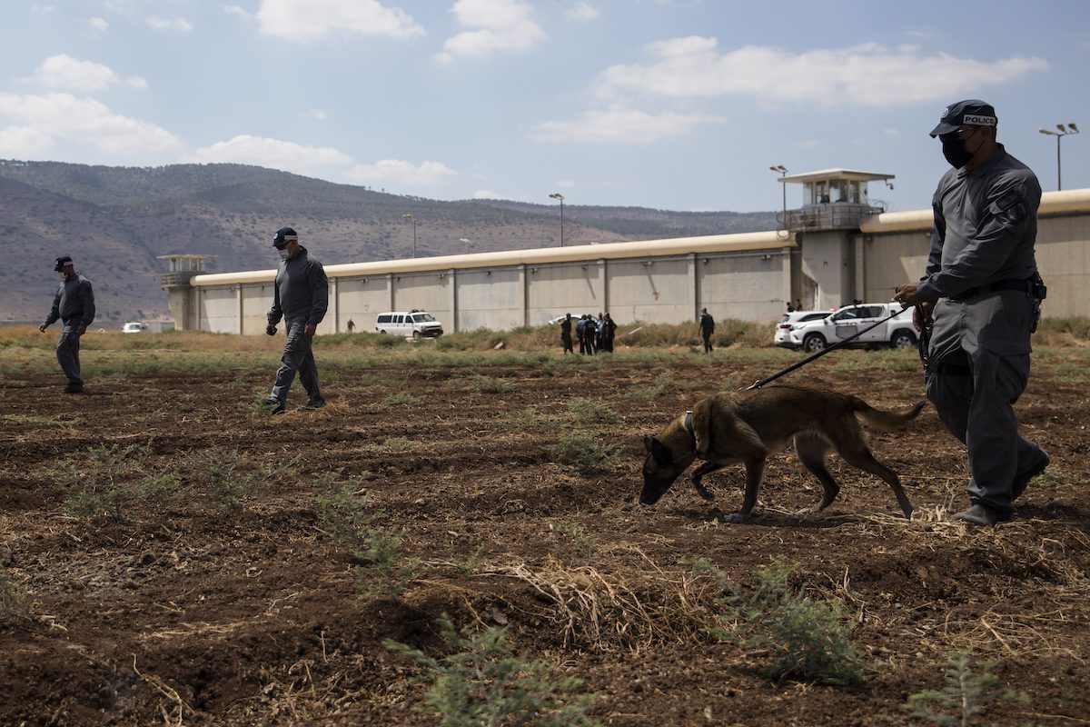 Policiais israelenses conduzem operação de busca pelos seis prisioneiros palestinos que fugiram de Gilboa, nos arredores do kibbutz Beit HaShita, norte do território considerado Israel, em 6 de setembro de 2021 [Amir Levy/Getty Images]
