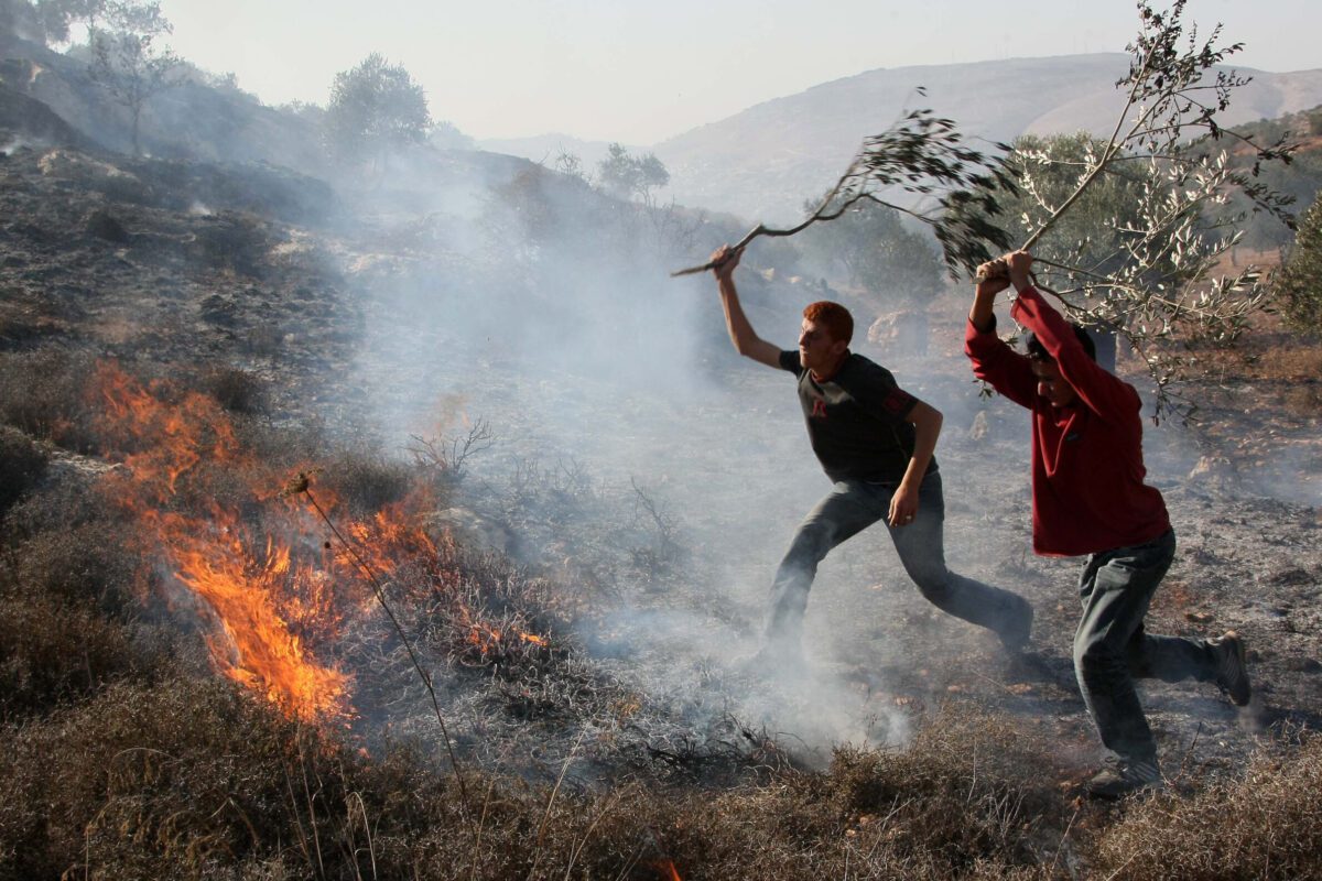 Palestinos extinguem fogo em um olival que foi supostamente incendiado por colonos judeus na vila de Salem, ao norte da Cisjordânia, a leste de Nablus, em 14 de novembro de 2010 [JAAFAR ASHTIYEH/AFP via Getty Images]
