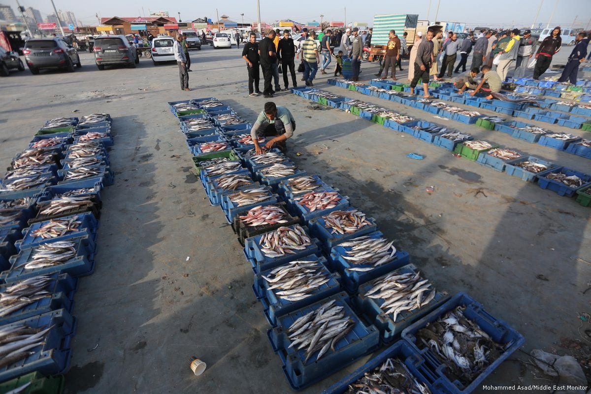 As forças de ocupação israelenses ampliaram a área de pesca ao largo de Gaza Faixa de 6 para 9 milhas náuticas por um período de seis semanas, permitindo que o pescador de Gaza viaje mais longe para sua captura [Mohammed Asad / Monitor do Oriente Médio]