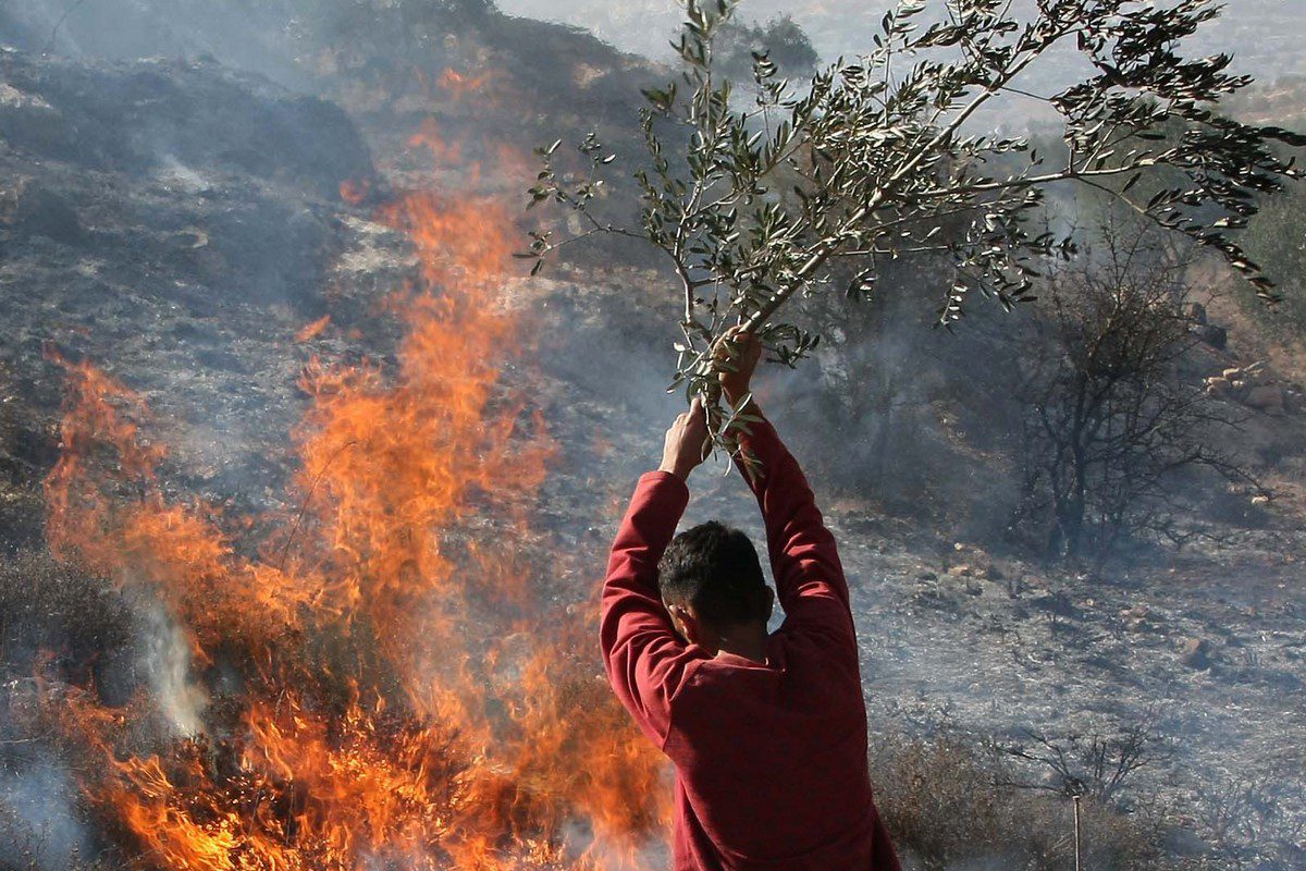 Um palestino apaga fogo em um olival que foi incendiado por colonos israelenses [Jaafar
Ashtiyeh/AFP/Getty Images]