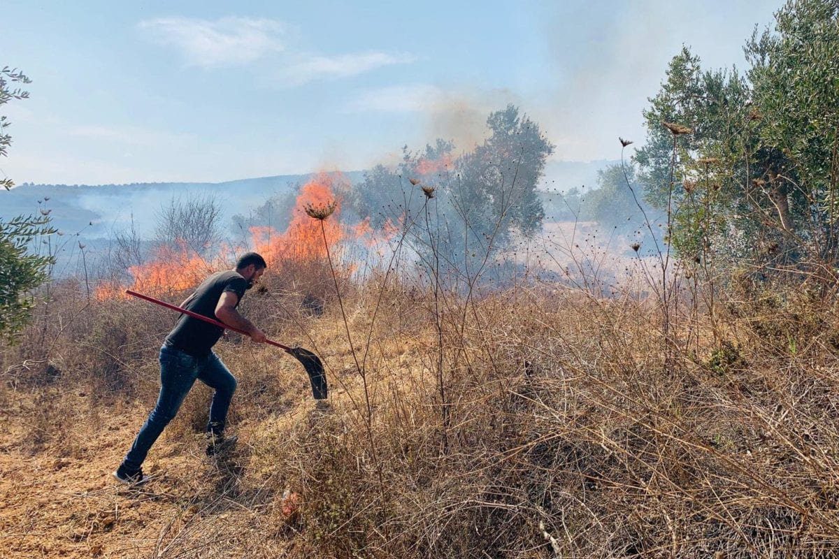 Colonos israelenses atacam oliveiras palestinas na aldeia de Burin, perto de Nablus, Cisjordânia ocupada, outubro de 2019 [Foto de arquivo]