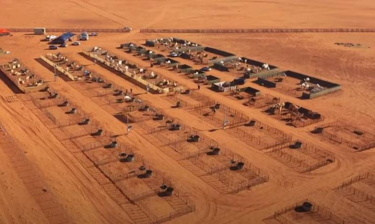 Primeiro hotel para camelos do mundo, chamado Tetaman [Divulgação]