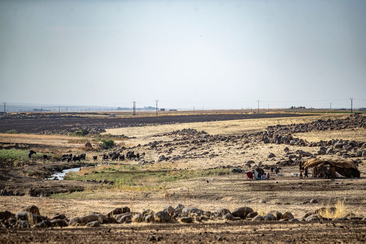 Província de Hasakah, nordeste da Síria, em 16 de julho de 2021 [Delil Souleiman/AFP via Getty Images]
