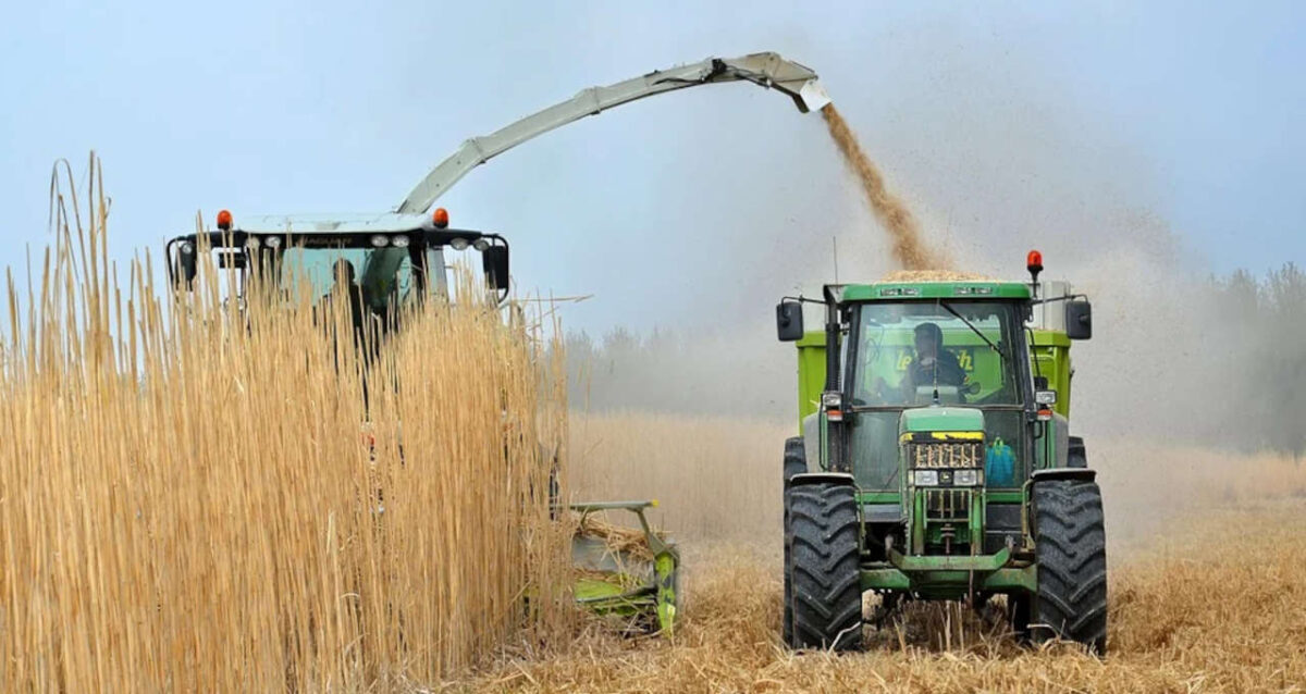 Russia e Ucrânia estão entre os maiores exportadores de trigo para a Arábia Saudita e outros países do Oriente Médio [Pixabay/ybernardi]
