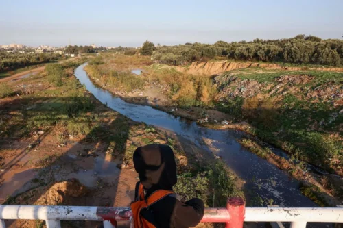 Uma imagem mostra uma vista de Wadi Gaza, uma área pantanosa no centro da Faixa de Gaza, em 9 de fevereiro de 2022. [Mohammed Abed/AFP via Getty Images]