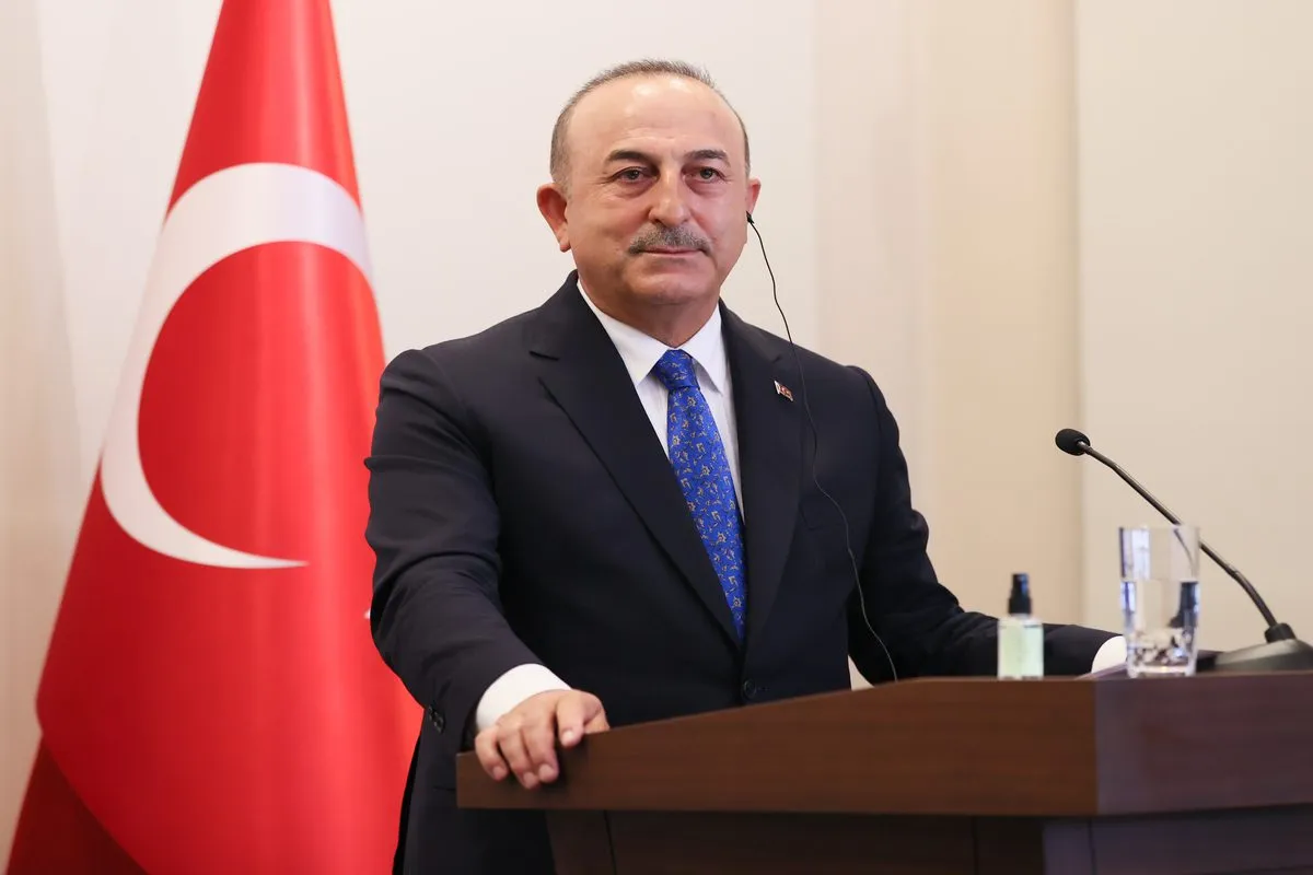 Ministro de Relações Exteriores da Turquia Mevlut Cavusoglu em Istambul, 29 de julho de 2022 [Cem Özdel/Agência Anadolu]