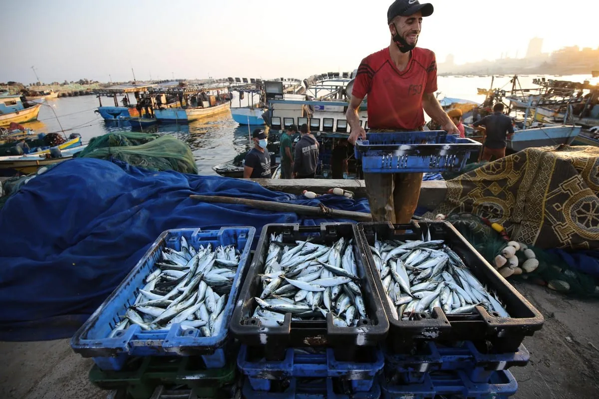Pescador palestino volta a trabalhar após 18 dias de proibição pelas forças da ocupação israelense, na Faixa de Gaza, em 3 de setembro de 2020 [Mohammed Asad/Monitor do Oriente Médio]
