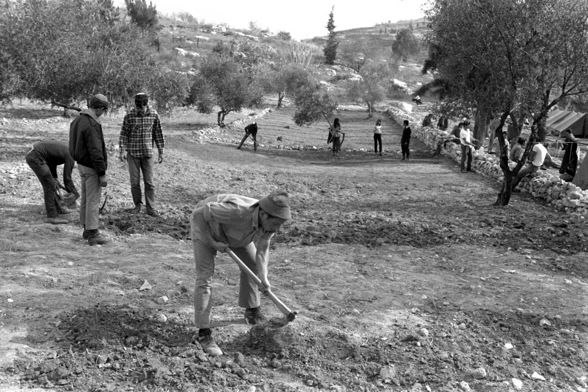 Colonos israelenses preparam a terra para um assentamento ilegal perto da ferrovia de Sebastia, no norte da Cisjordânia, em 8 de dezembro de 1975 [Moshe Milner/GPO via Getty Images]
