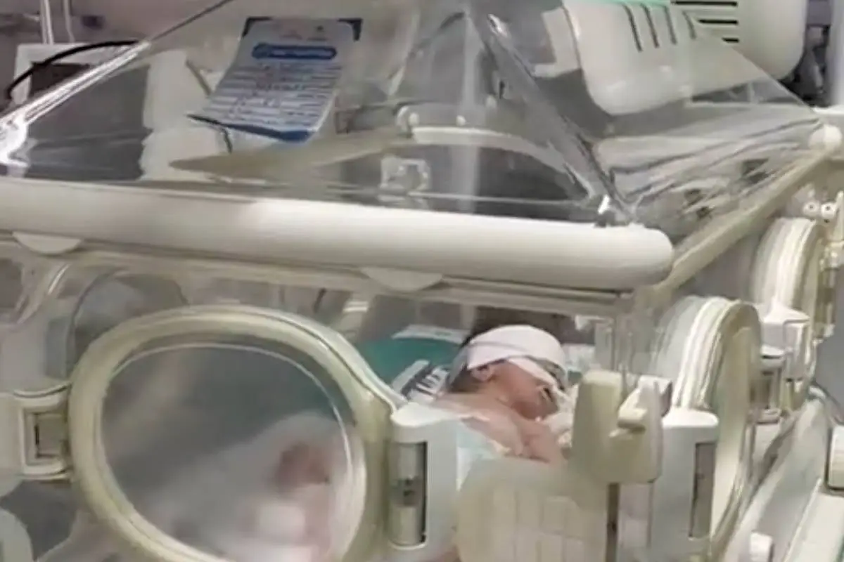 Naji, bebê palestino salvo por uma cesariana de emergência, no Hospital Naser de Gaza, em outubro de 2023 [Reprodução/X]
