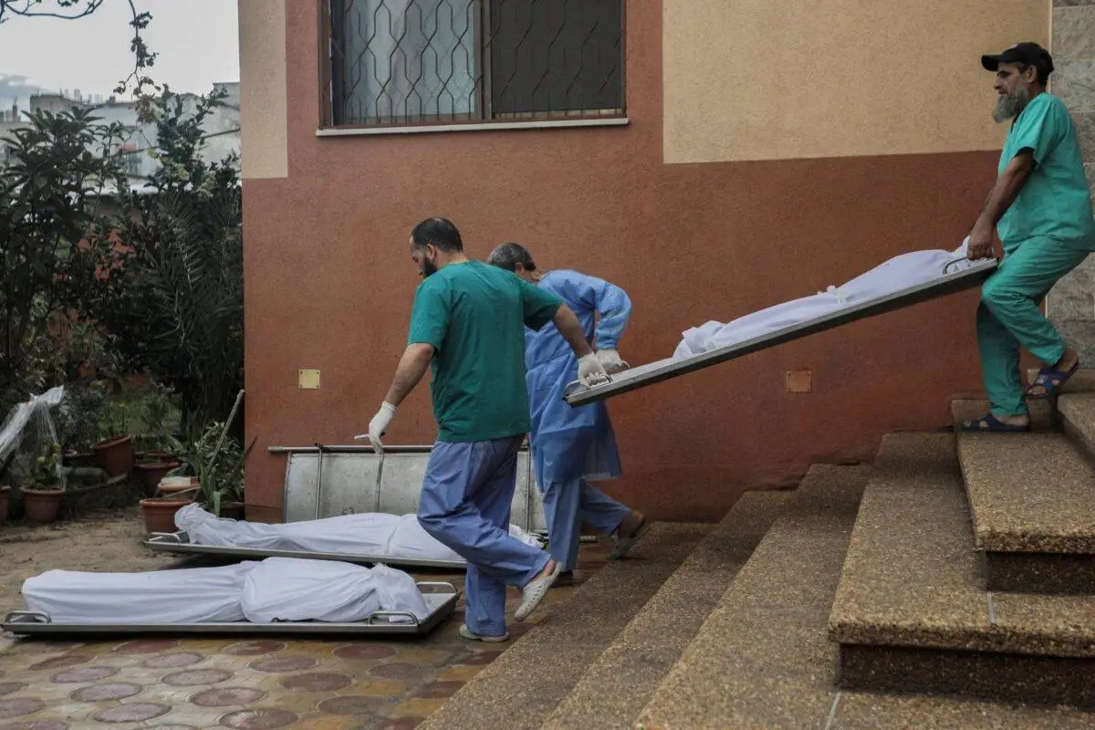 Médicos carregam corpos de palestinos mortos pelos ataques israelenses em Gaza, em 15 de novembro de 2023 [Ahmad Hasaballah/Getty Images]
