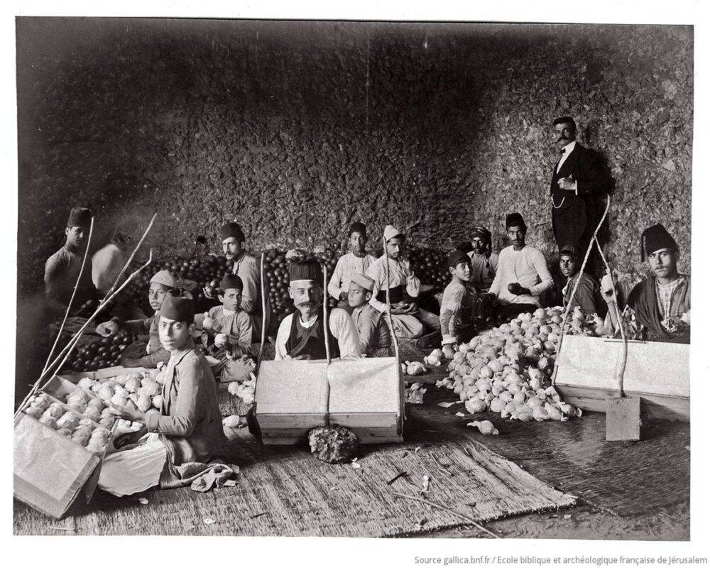 Empacotamento de laranjas em uma tradicional oficina familiar de Jaffa, na Palestina, em 1907 [Bibliothèque nationale de France/Reprodução]
