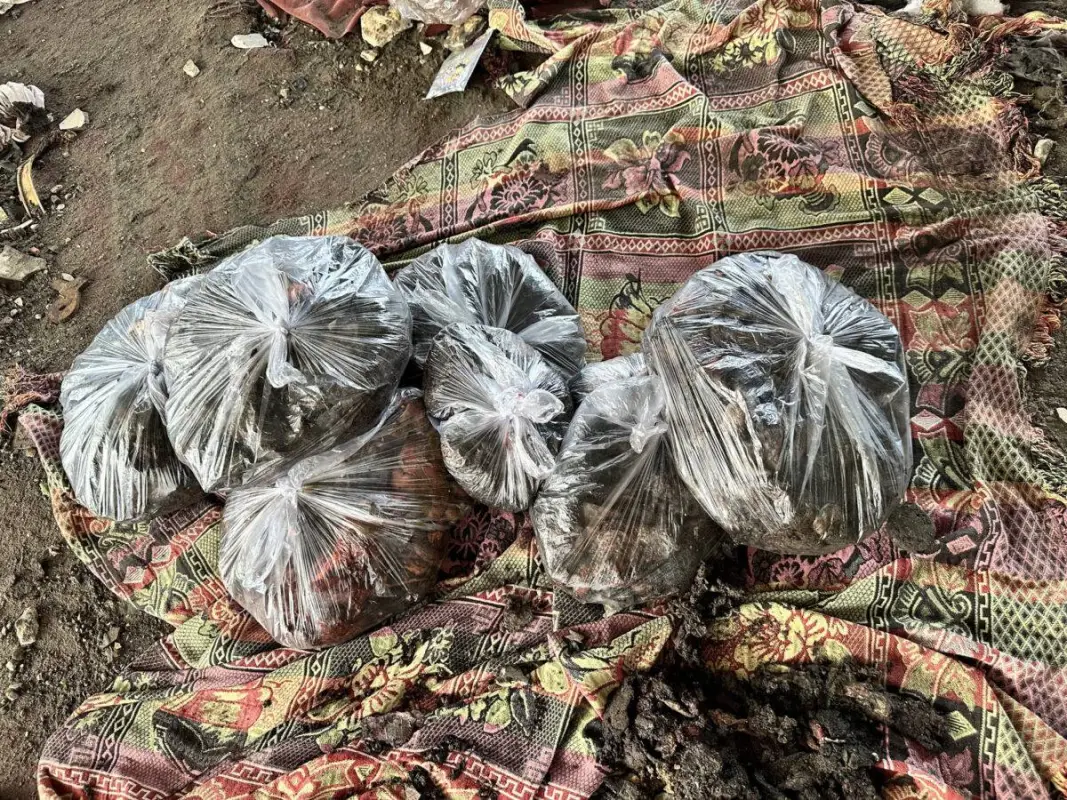 Sacos plásticos utilizados para recolher os restos mortais das vítimas de um ataque de Israel ao colégio al-Tabi’in, convertido em abrigo para os deslocados de Gaza, no bairro de al-Daraj, em 11 de agosto de 2024 [Abdallah Dalee/Agência Anadolu]