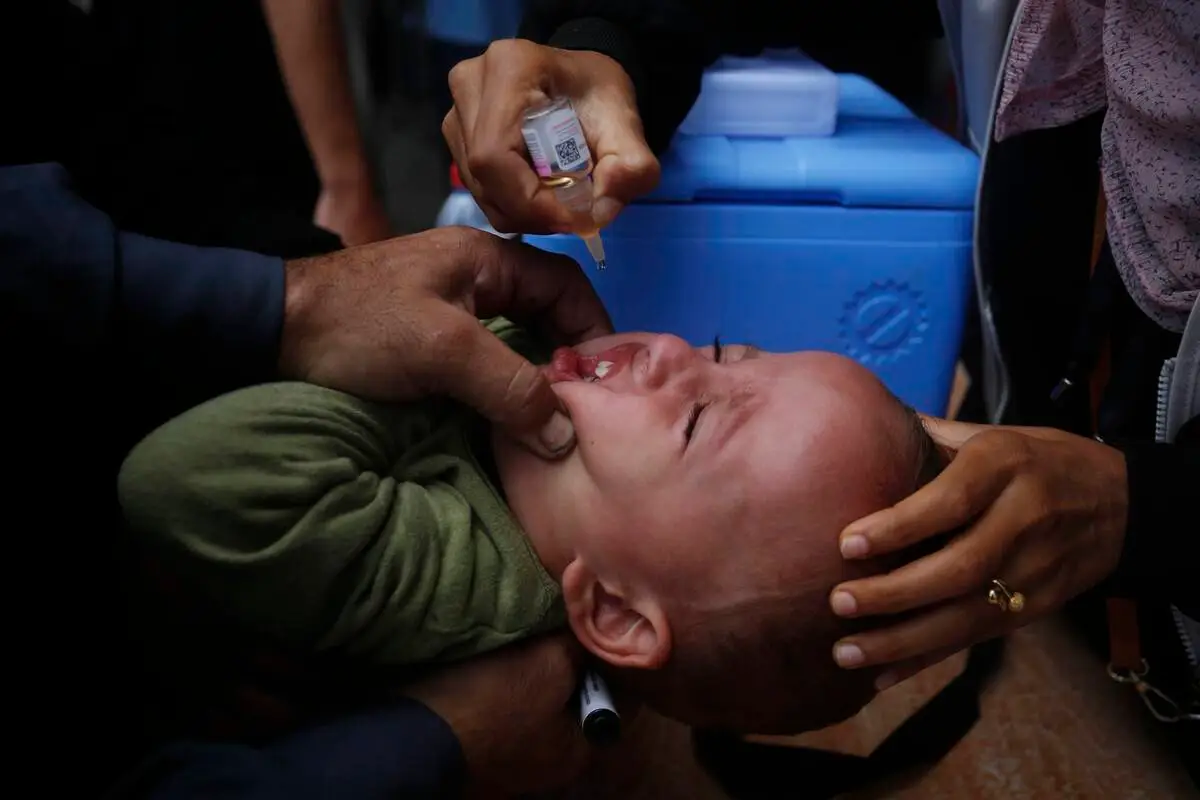 Uma criança palestiniana recebe a vacinação contra a poliomielite numa clínica da UNRWA como parte da segunda fase da campanha de vacinação para crianças com menos de 10 anos de idade na província central, em cooperação com a Organização Mundial da Saúde, a agência das Nações Unidas para os refugiados palestinianos, UNRWA, e Fundo das Nações Unidas para a Infância, UNICEF, em Deir al-Balah, Gaza, em 14 de outubro de 2024 [Ashraf Amra/Agência Anadolu]
