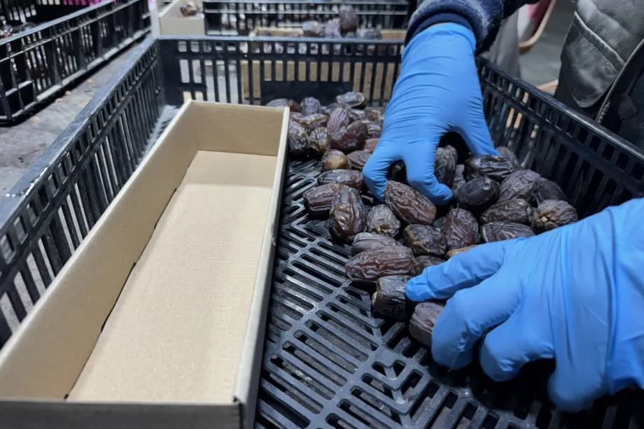 Autoridades palestinas alertam que tâmaras produzidas em terras confiscadas em Jericó, na Cisjordânia, estão sendo comercializadas como produtos locais, e pedem aos consumidores que verifiquem cuidadosamente os códigos de barras ao comprar tâmaras, em 17 de fevereiro de 2026. [Hisham K. K. Abu Shaqra – Agência Anadolu]